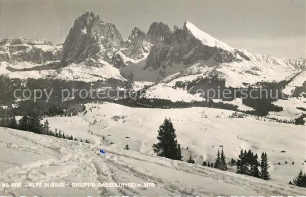 Alpe di Siusi Gruppo Sassolungo Dolomiti Winterpanora