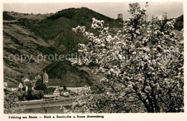 Bornhofen Kamp Durchblick zum Ort mit Ruine Sterrenber