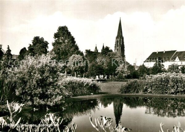 Freiburg Breisgau Stadtgarten Teich Freiburger Münster
