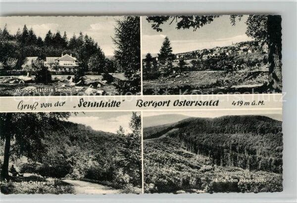 Osterwald Elze Waldgaststätte Sennhütte Landschaftspan