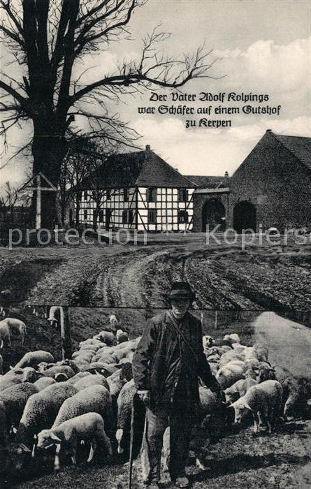 Kerpen Rheinland Kolping Geburtshaus Schäfer Schafherde