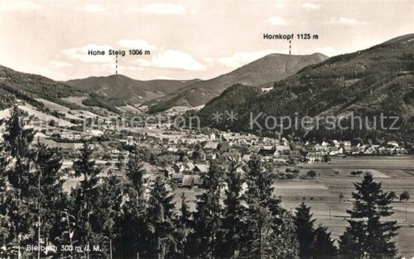 Bleibach Luftkurort im Elztal Blick ins Simonswä