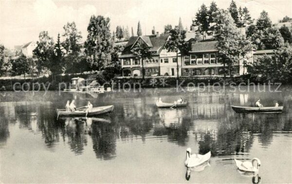 Much Gasthaus Herrenteich Bootfahren Schwäne