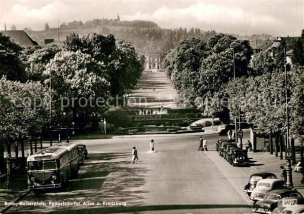 Bonn Rhein Poppelsdorfer Allee und Kreuzberg