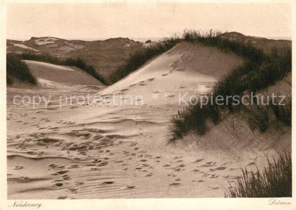 Norderney Nordseebad Dünen Natur