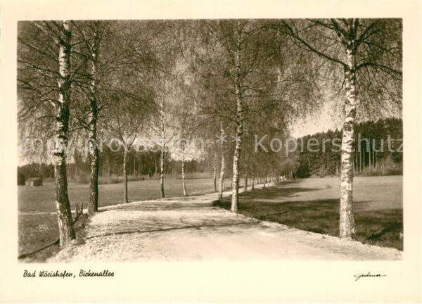 Bad Woerishofen Birkenallee Landschaftspanorama