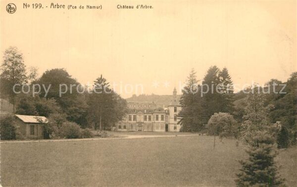 Arbre Namur Chateau