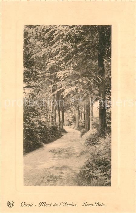 Orroir Mont de L_Enclus Sous Bois