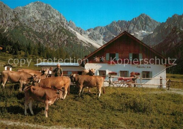 Telfs Tirol Eppzirler Alm