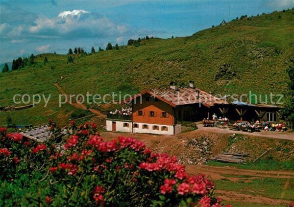 Seiser Alm Dolomiten Arnika Hütte