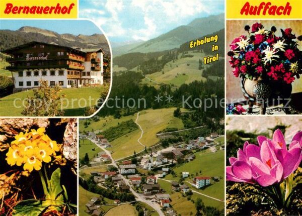 Auffach Hotel Restaurant Bernauerhof Alpenflora