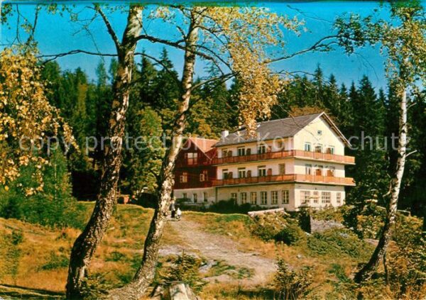 Schaueregg Tauchen Waldgasthof Pension Tränk Törl