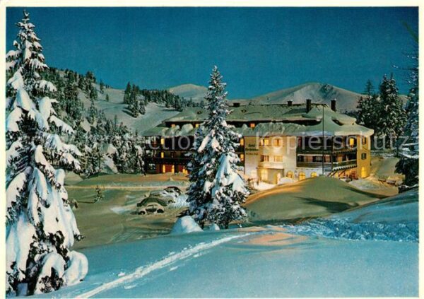 Turracher Hoehe Hotel Hochschober Winterlandschaft Alpe