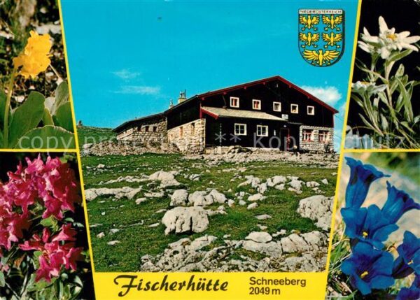 Puchberg Schneeberg Fischerhütte