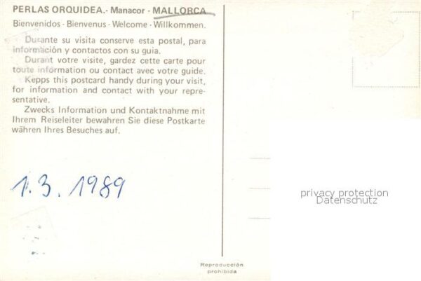 Manacor Perlas Orquiedea – Bild 2