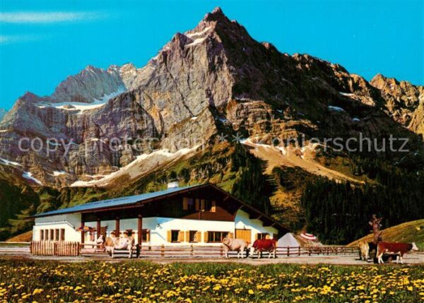 Eng Alm Rasthütte Kühe