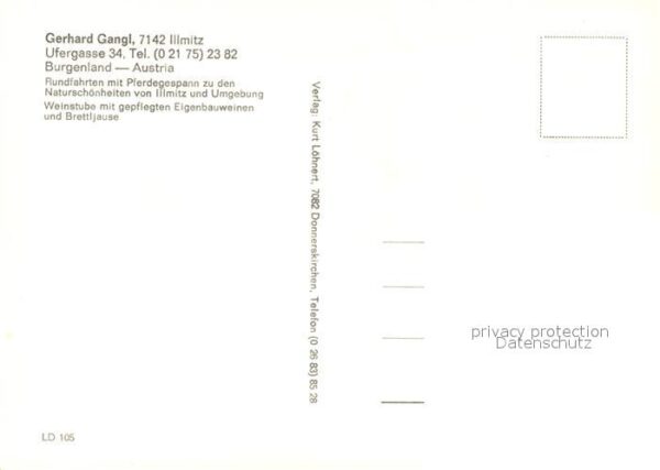 Illmitz Pferderundfahrt Gerhard Gangl – Bild 2