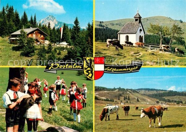 Strobl Postalm Kinder in Tracht Kühe