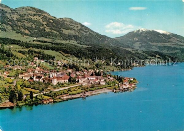 Millstatt Millstaettersee Fliegeraufnahme Seepartie