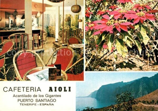Puerto Santiago Tenerife Cafeteria Aioli Pflanzen Küstenpanorama