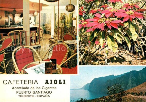 Puerto Santiago Tenerife Cafeteria Aioli Blumen Küstenpanorama