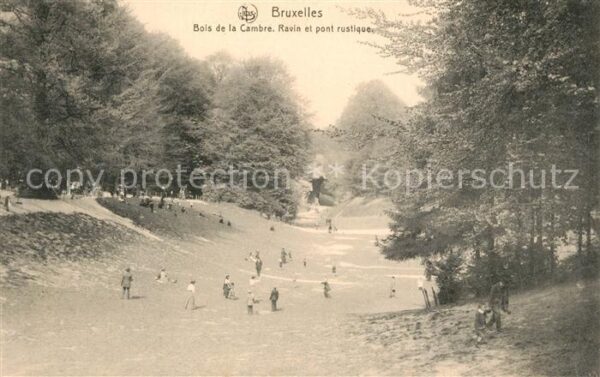 Bruxelles Bruessel Bois de la Cambre Ravin et pont rustiqu