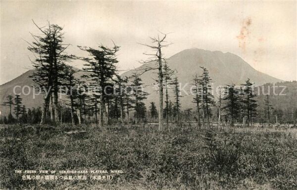 Nikko Senjo Ga Hara Plateau Landschaftspanora