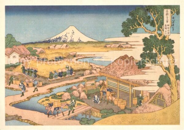 Honshu Der Fuji von den Teefeldern von Katakur