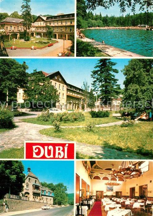Dubi Lazne okr Teplice