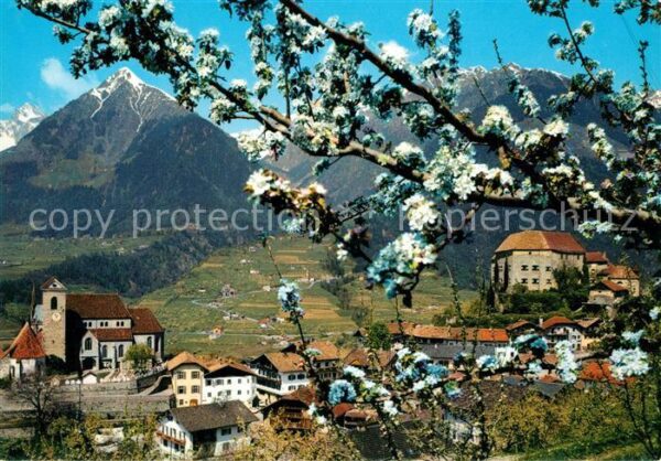 Schenna Meran Panorama