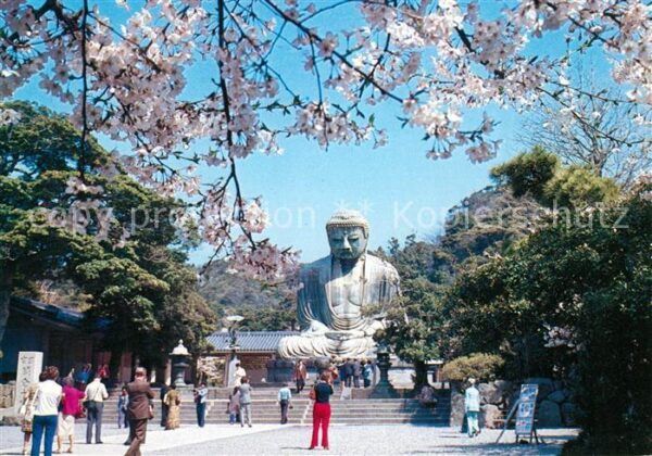Kamakura The Great Buddha in the Time of Cherry
