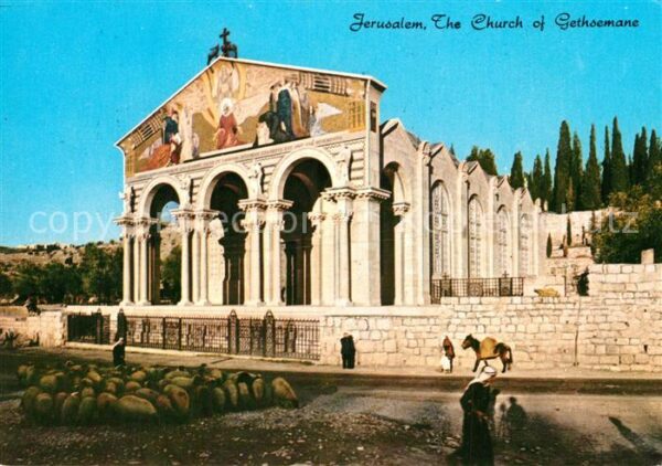 Jerusalem Yerushalayim The Curch of Gethsemane