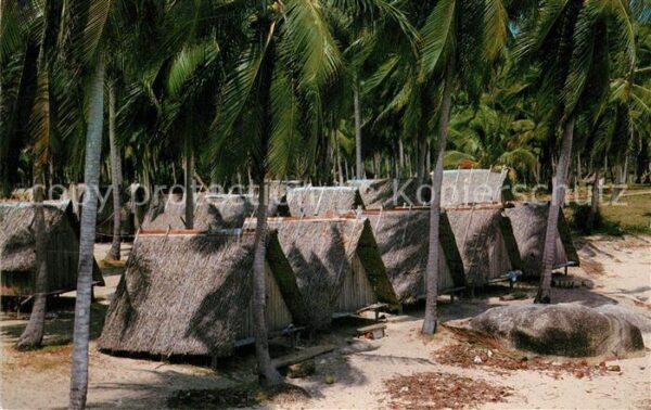 Samui Thailand The bungalows at La Mai