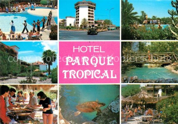 Playa del Ingles Hotel Parque Tropical Diversos aspectos