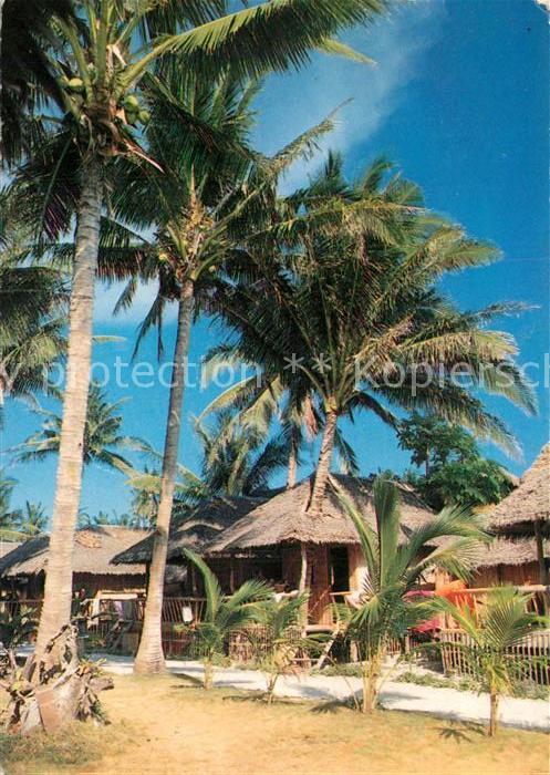 Boracay Palm trees growing through cottages