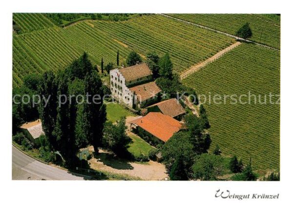 Tscherms Weingut Kränzel Fliegeraufnahme