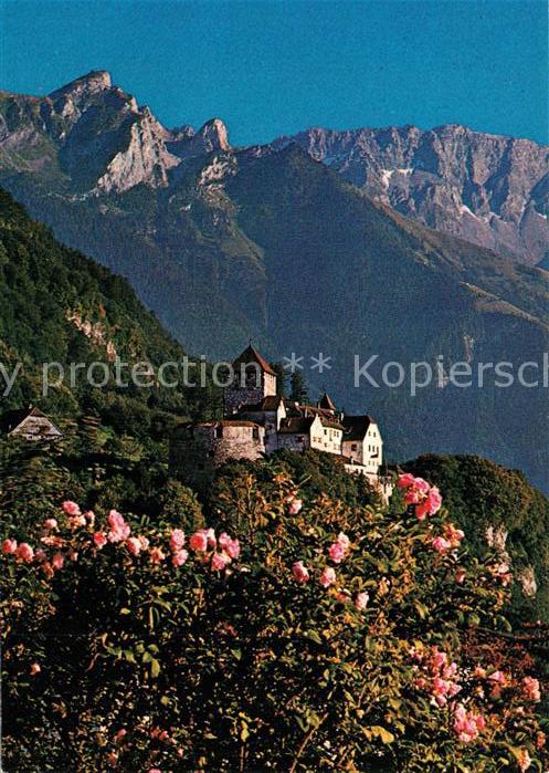 Liechtenstein  Schloss Vaduz