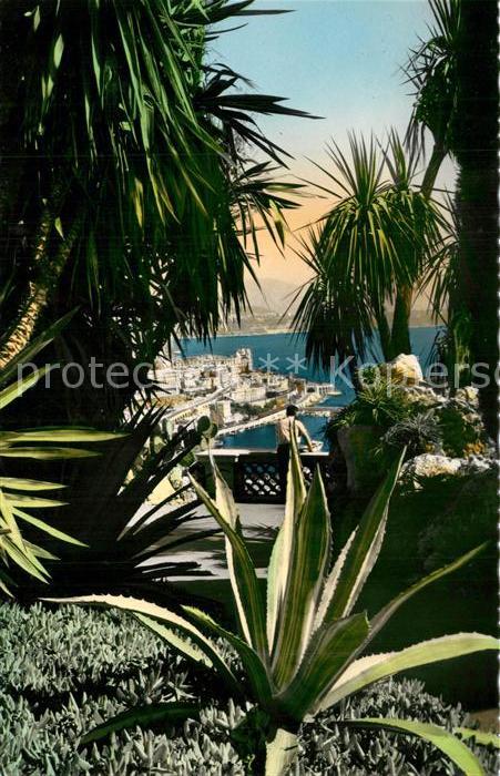 Monte-Carlo Végétation Tropical vue sur le port de