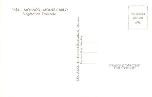 Monte-Carlo Végétation Tropical vue sur le port de – Bild 2