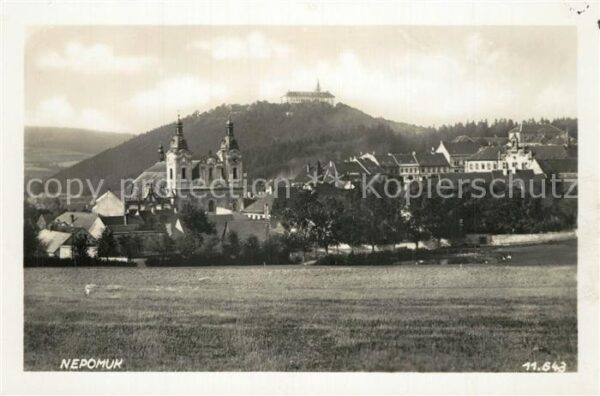 Nepomuk Pomuk Ortsansicht mit Kirche Kloster