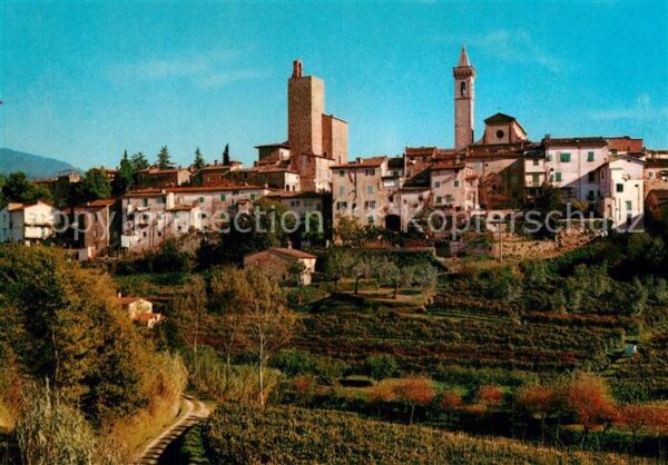 Citta di Vinci Scorcio panoramico