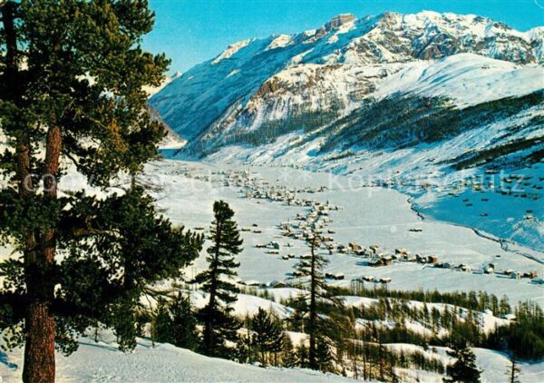 Livigno Winterpanorama Alpen