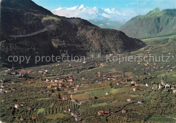 Lagundo Merano Alpenpanorama