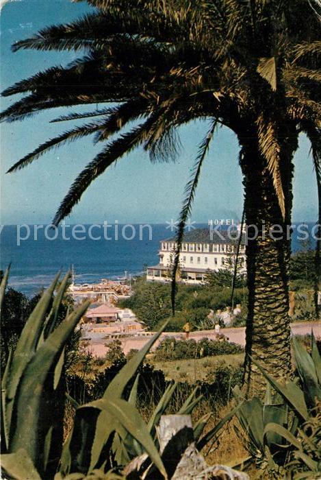 Ericeira Palmen Blick zum Hotel de Turismo Meerb