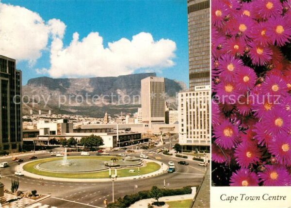 Cape Town Kaapstad Kapstadt Centre Flowers