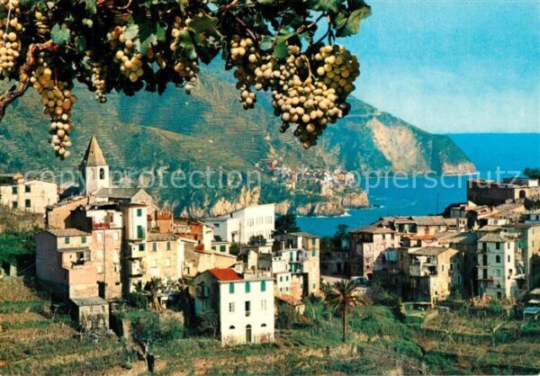 Corniglia Le Cinque Terre Scorcio panoramico