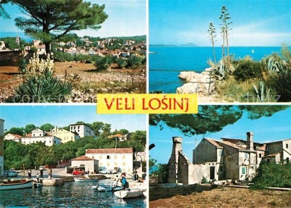 Veli Losinj Kroatien Panorama Küste Meerblick Hafen