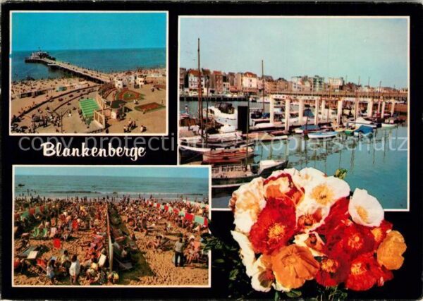Blankenberge Strand Seebrücke Hafen Blumen