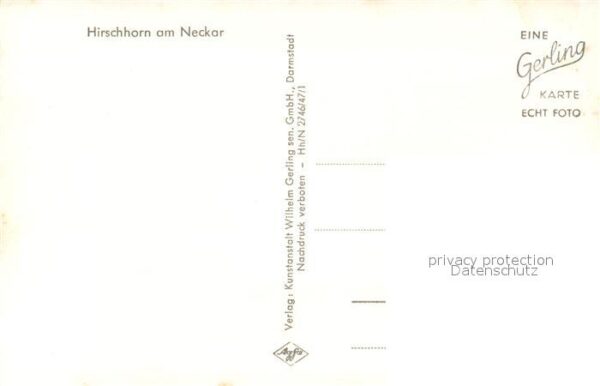 Hirschhorn Neckar Panorama – Bild 2