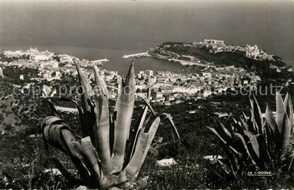 Monaco Panorama La Turbie